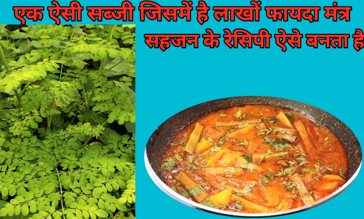 sahjan ki sabji recipe in hindi: यहां देखें सहजन रेसिपी प्राकृतिक वरदान इसमें है हजारों फायदे