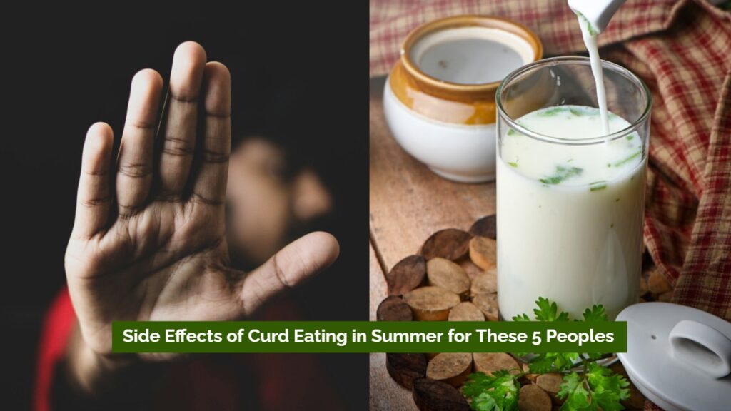 Side Effects of Curd Eating in Summer for These 5 Peoples