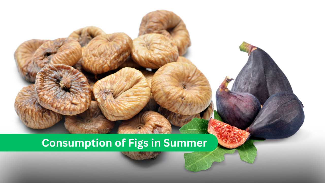 Consumption of Figs in Summer and Benefits of Eating Fig