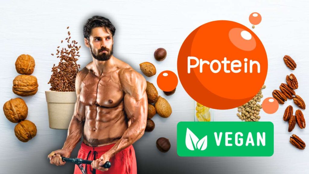 These 5 Vegetarian Things are Rich in Protein Like Chicken